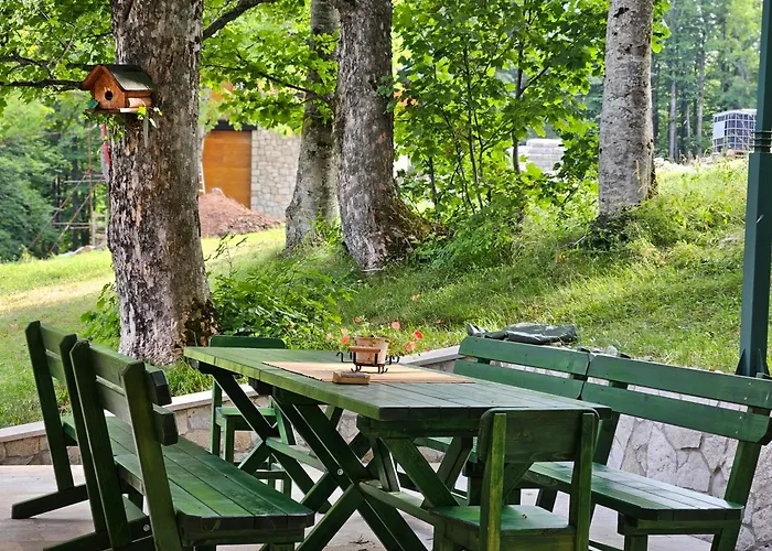 Green Forest