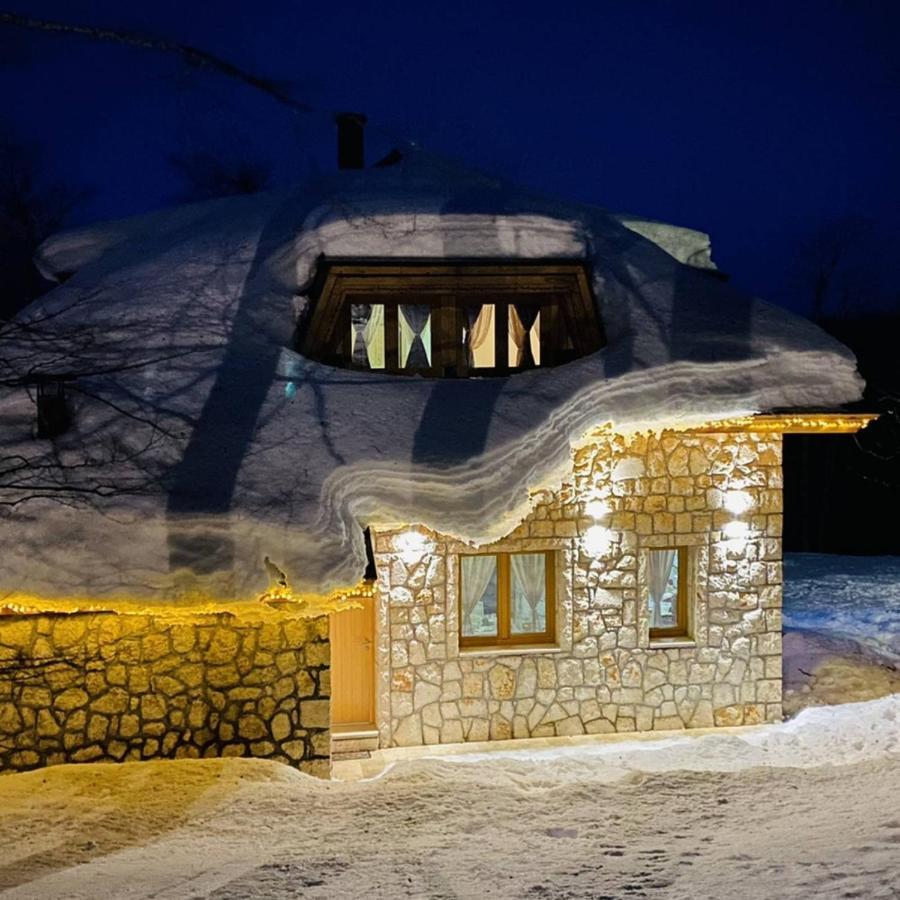 Forest Vila Zabljak (Zabljak)
