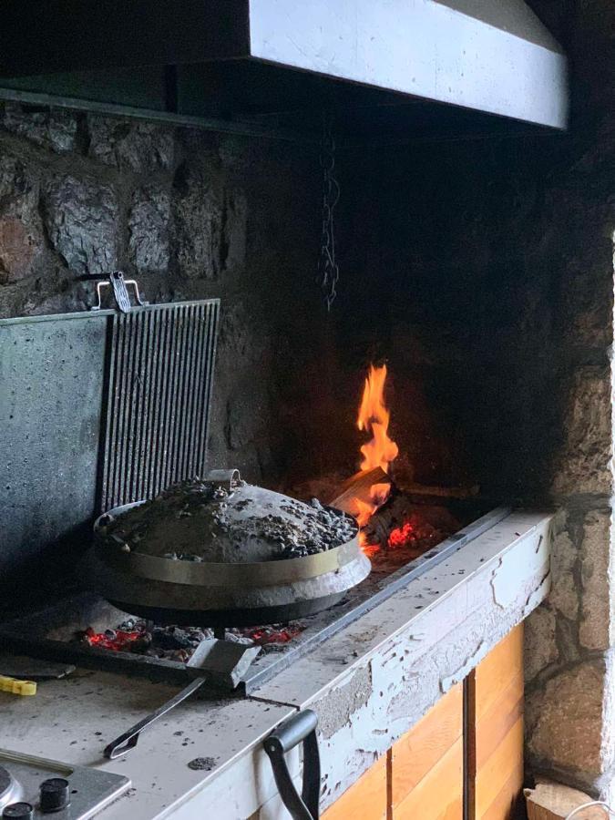 Forest Žabljak