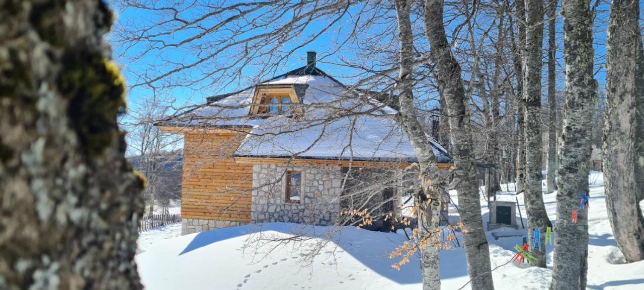Forest Villa Žabljak