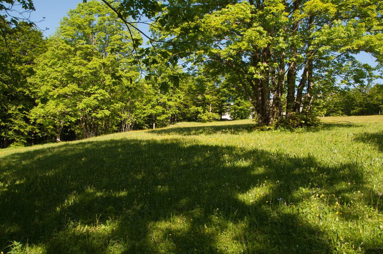 Villa Forest *