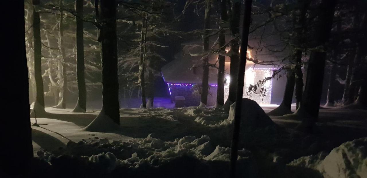 Villa Forest Žabljak