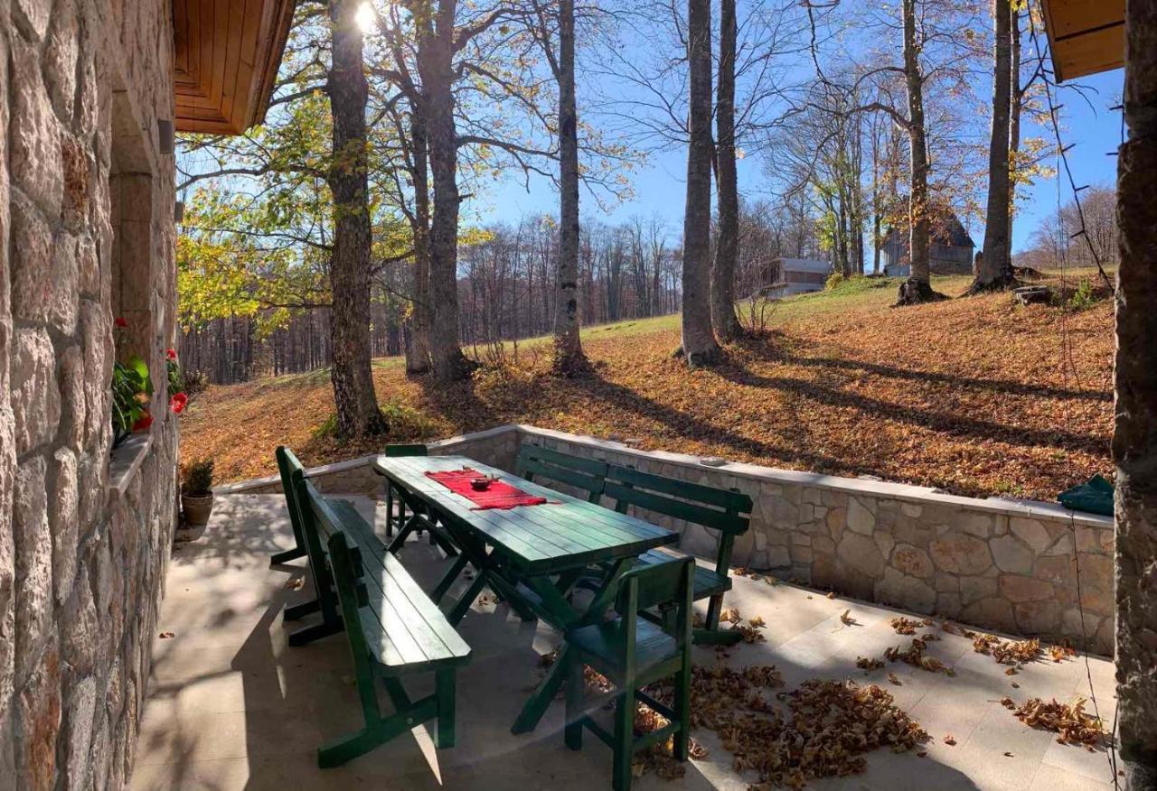 Villa Forest Žabljak